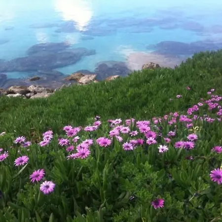 Olivia One Bedroom Renovated 2026 Lägenhet *