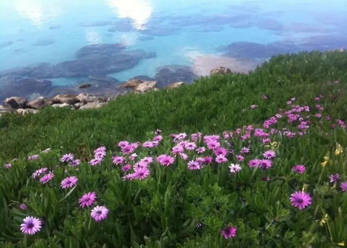 Olivia One Bedroom Renovated 2026 Apartament *